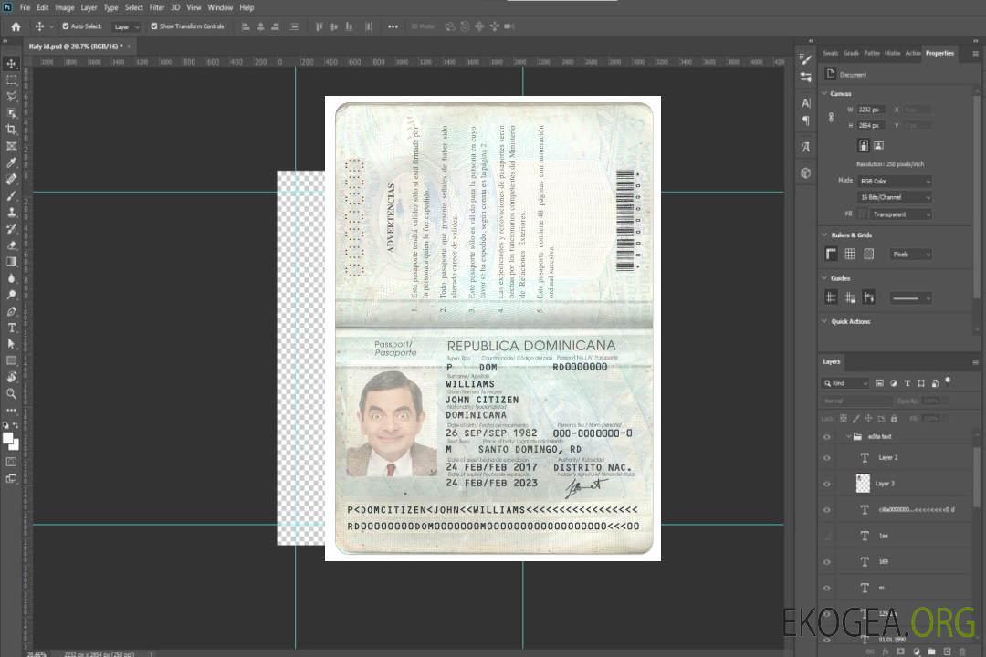 Pass DOMINICAINE template Pass DOMINICAINE template